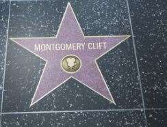 He received a star on the Hollywood Walk of Fame in 1960.